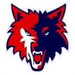coyote logo 